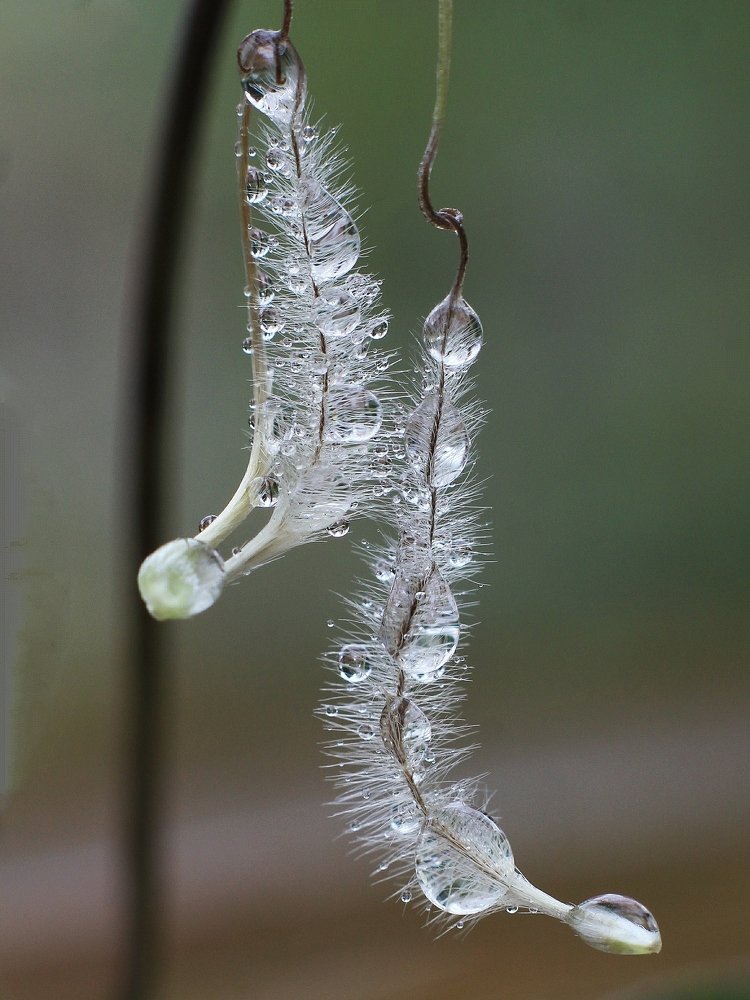 Photograph by Светлана Богомолова