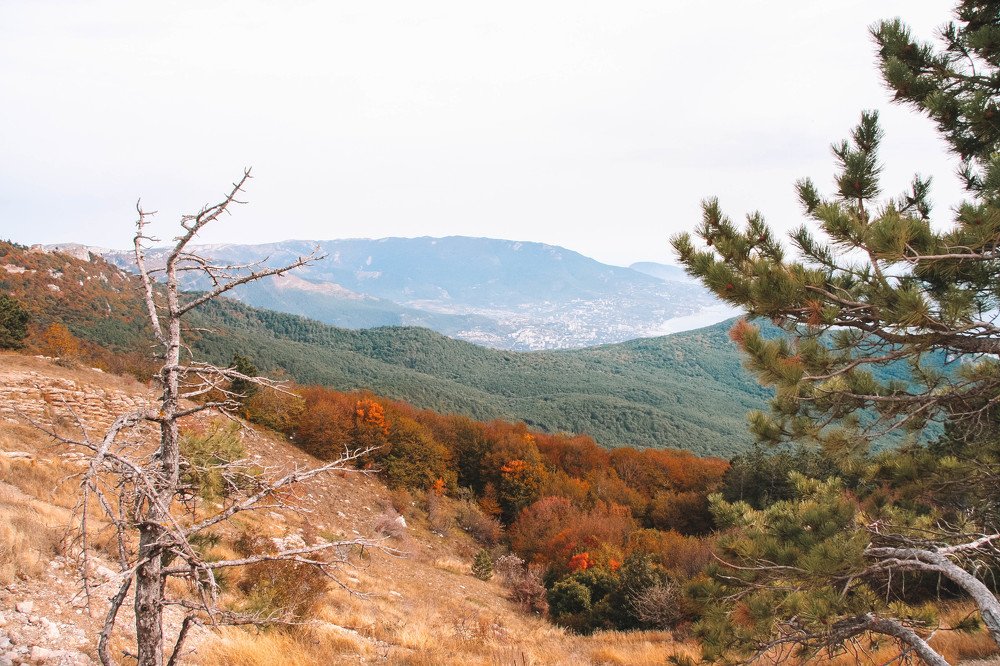 Photograph by Виктория Писаренко