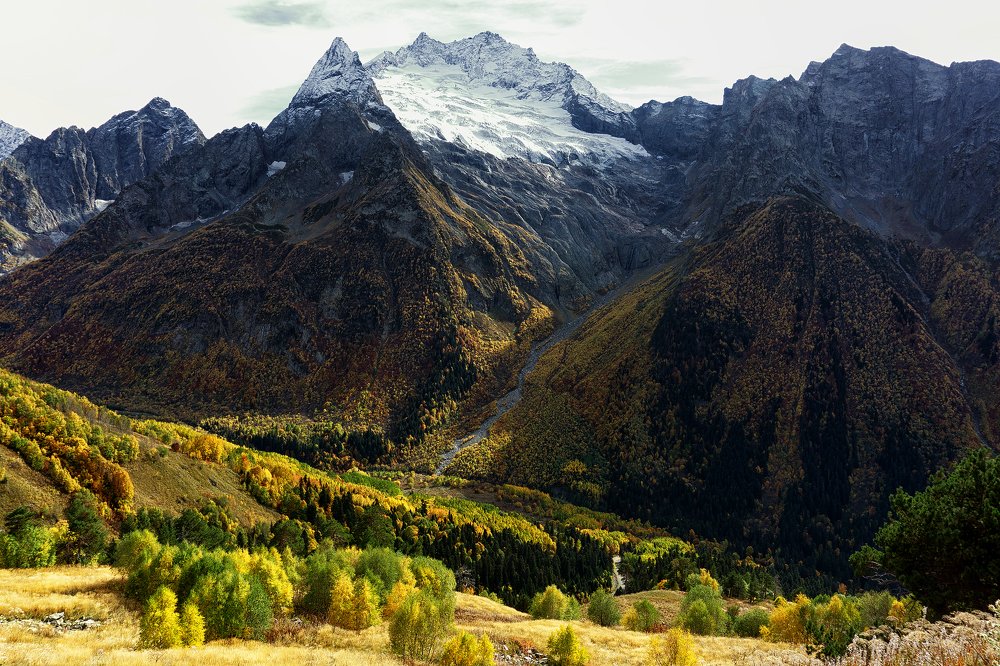 Photograph by Виталий Павлов