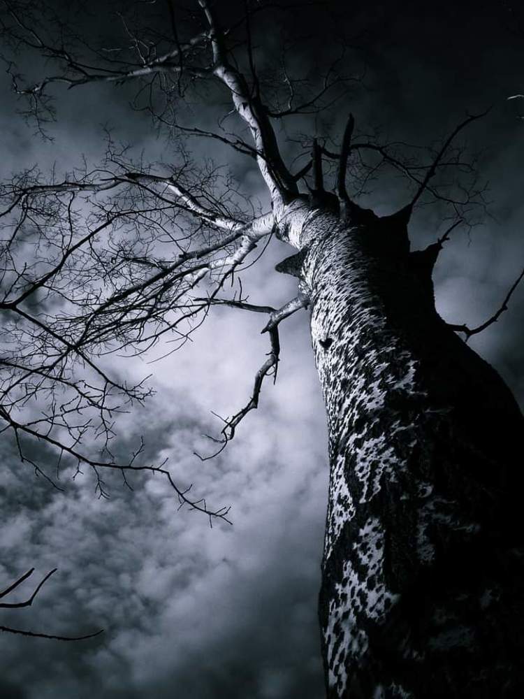 Photograph by Барно Ортикбаева