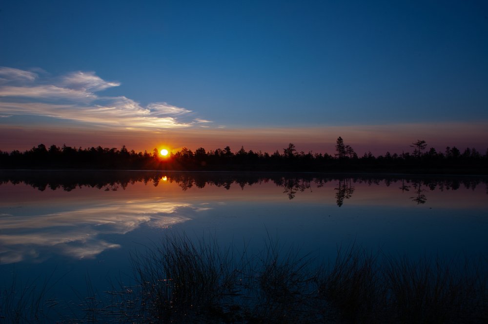 Photograph by Julia Jefimova