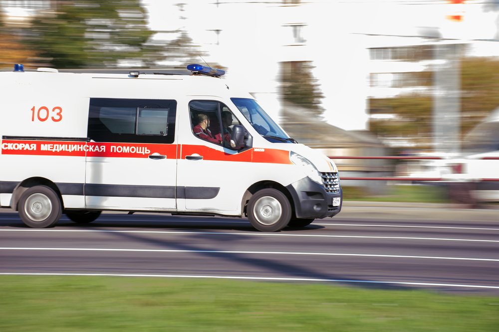 Photograph by Елена Стещенко