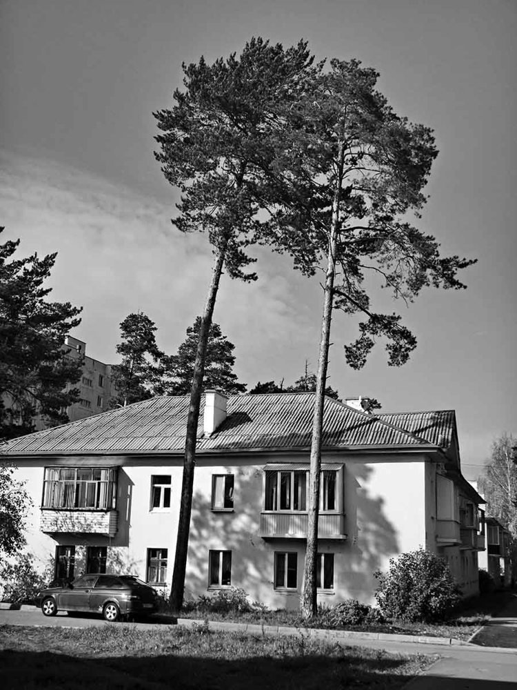 Photograph by Игорь Пшеничников