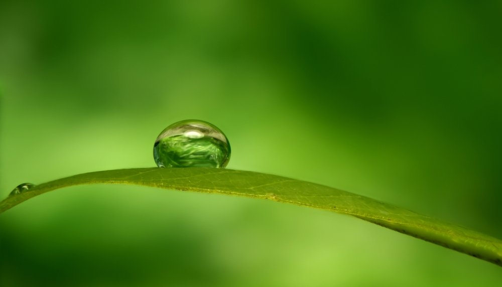 Photograph by Yusuf Buchari