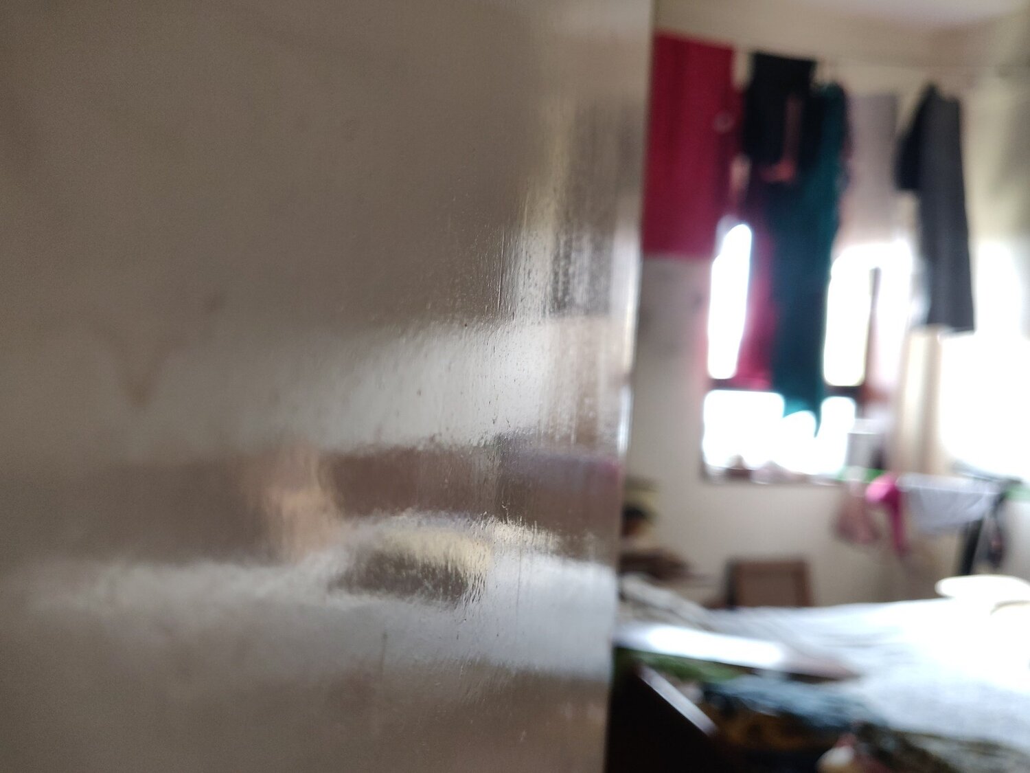 Photo #5151219