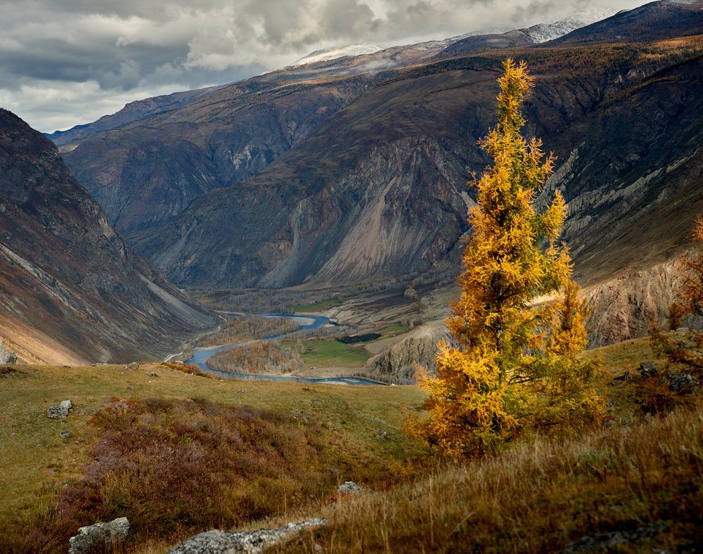 Photograph by Андрей Ростовцев