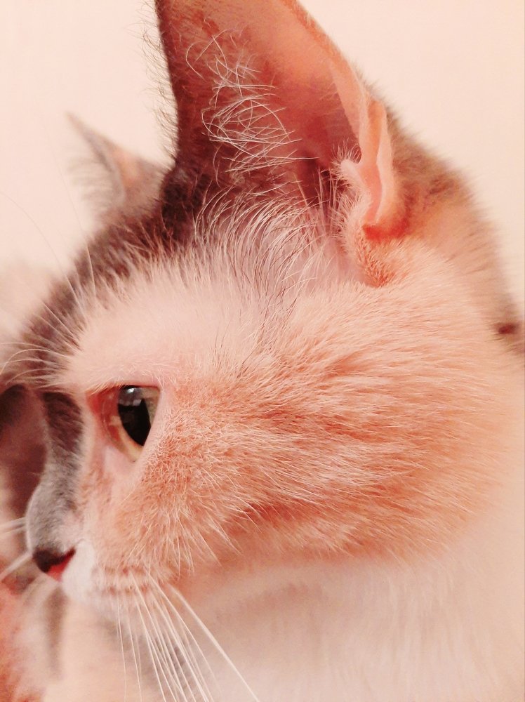 Фотография автора Светлана Дунаева