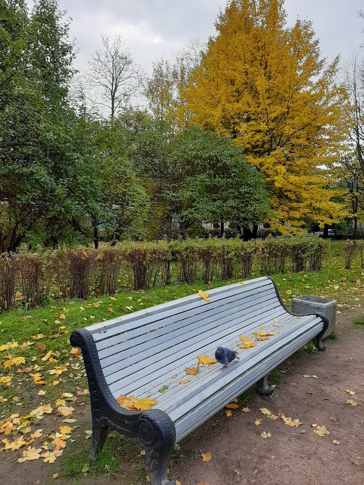 Фотография автора Светлана Дунаева
