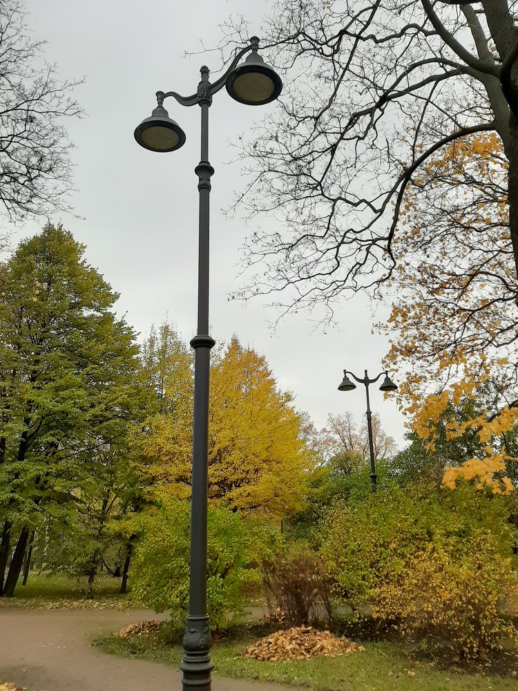 Фотография автора Светлана Дунаева