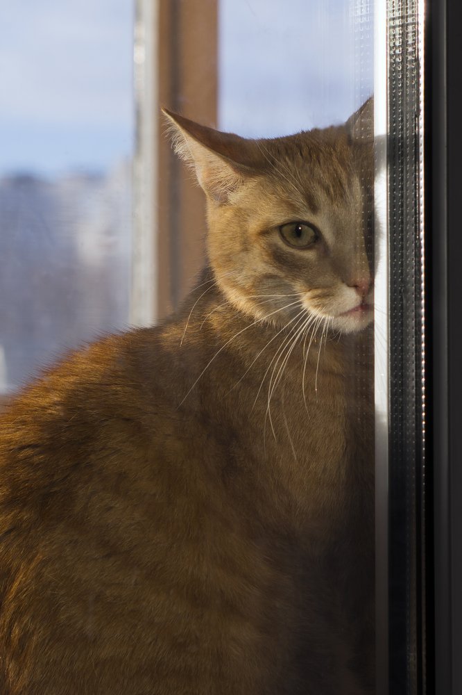 Photograph by Светлана Давыдова