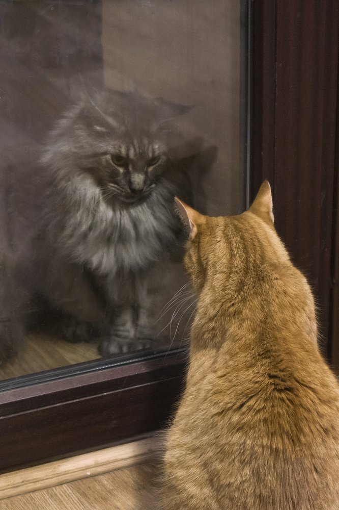 Photograph by Светлана Давыдова