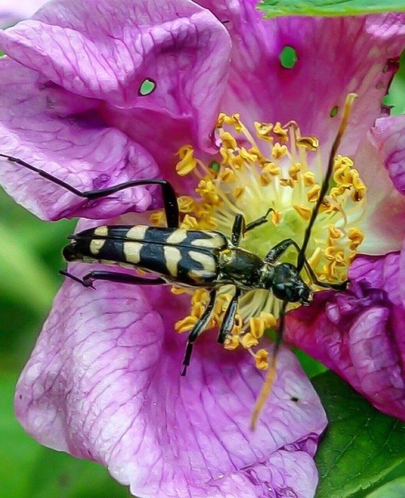 Фотография автора Валентина Рихмаер