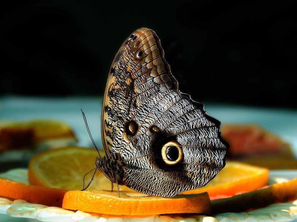 Photograph by Дмитрий Розенбаум