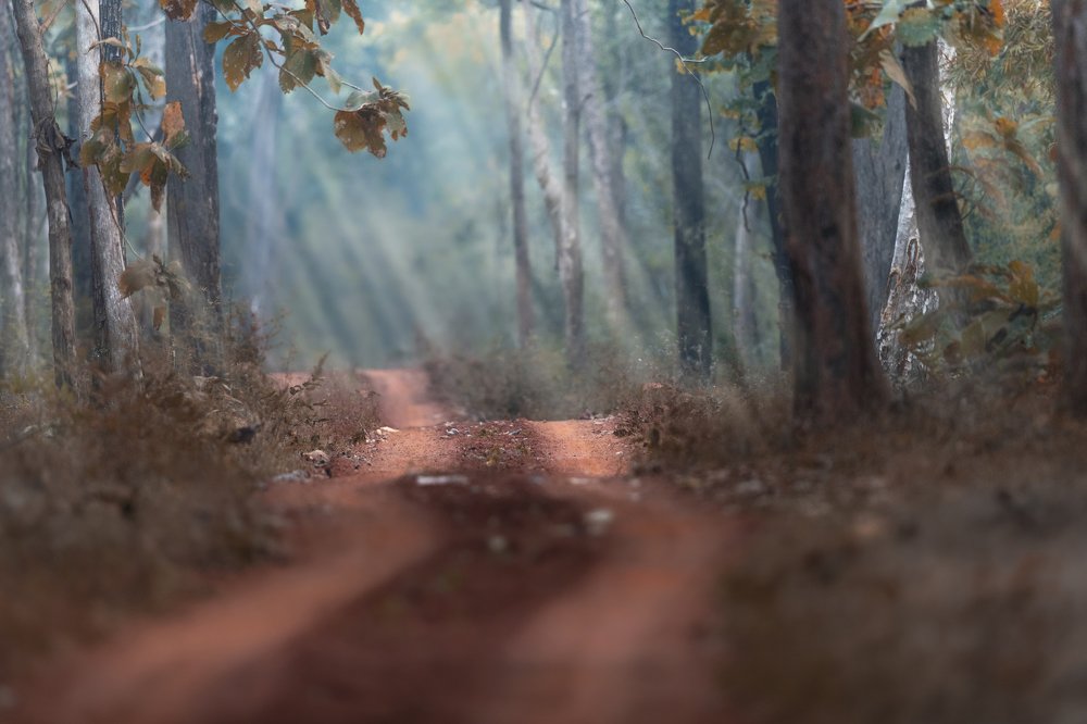 Фотография автора Sudipta Chakraborty