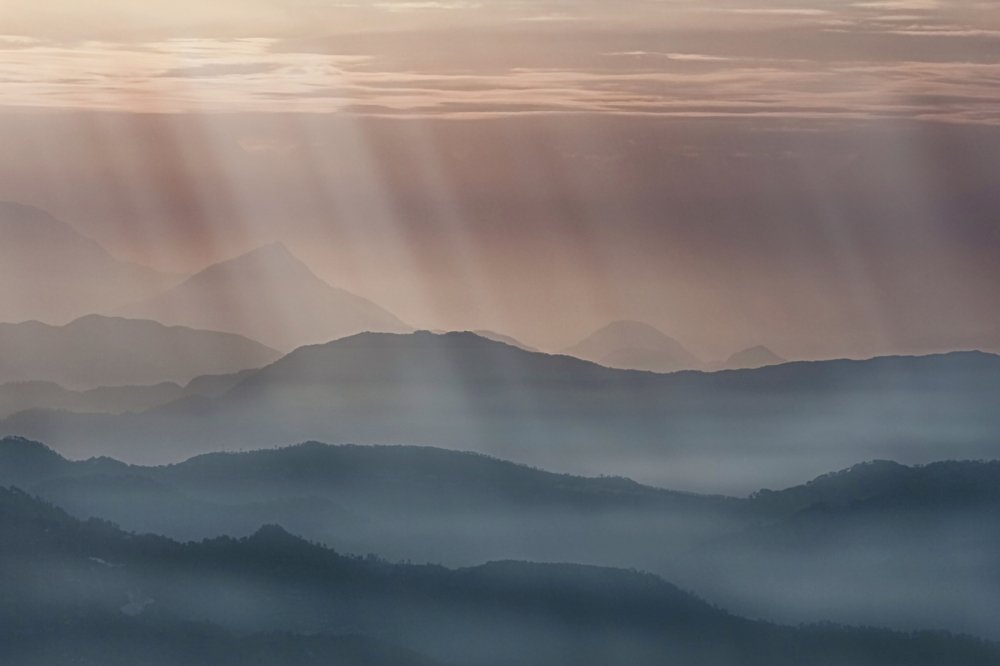 Photograph by Sudipta Chakraborty