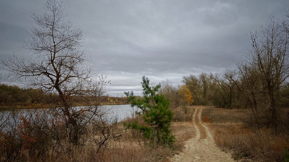 Осенний Дон