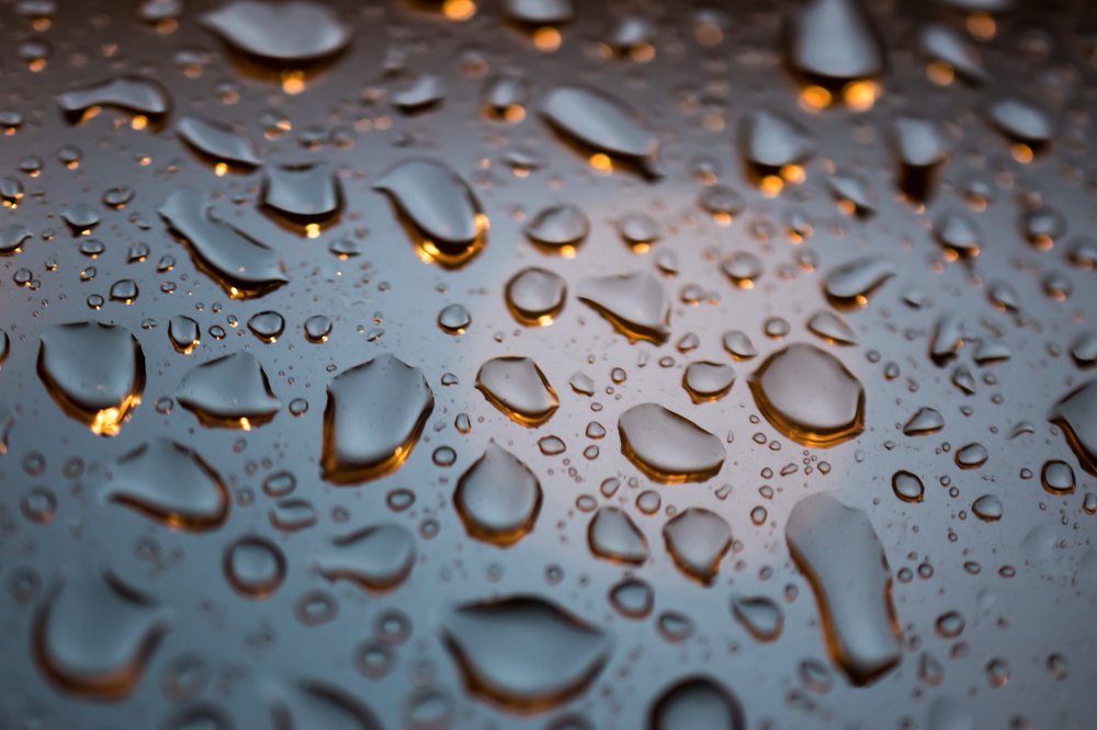 Фотография автора Andrea Pallang