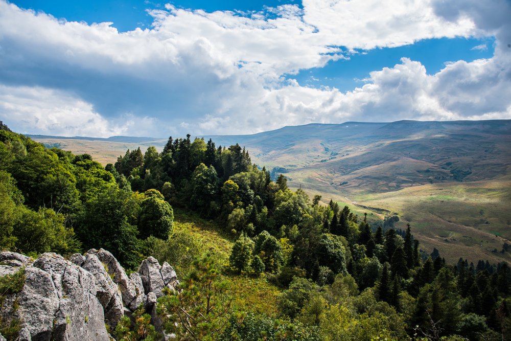 Лаго-Наки, Адыгея