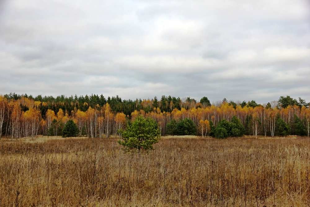Photograph by Александр Бугаенко