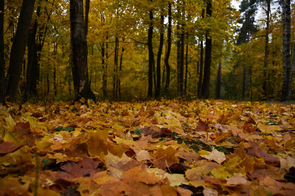 Photograph by Татьяна Юдина