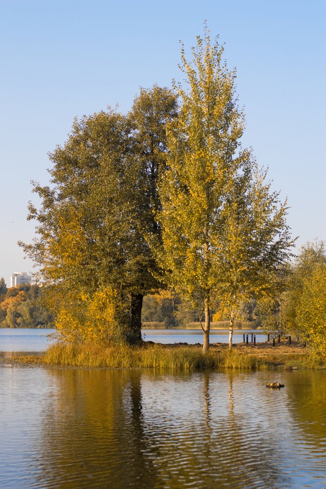 Photograph by Татьяна Юдина