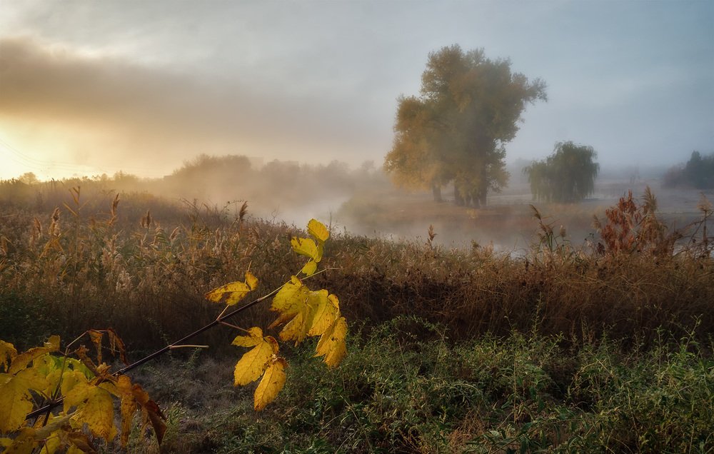 Photograph by Сергей Епишев
