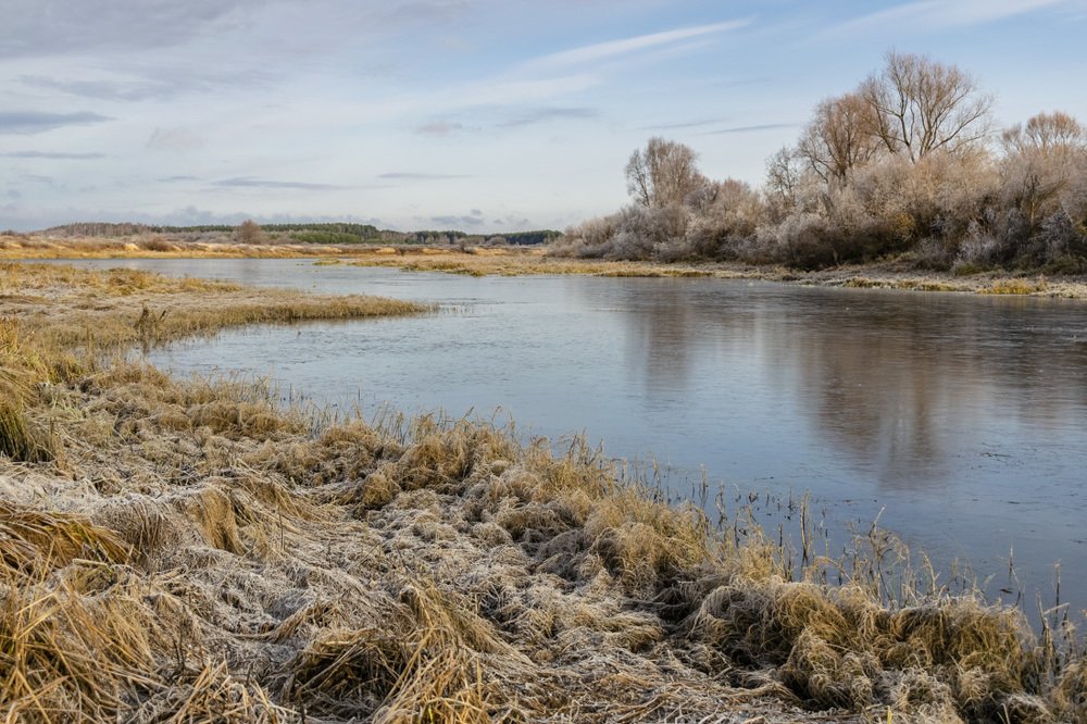 Фотография автора Галина Луценко