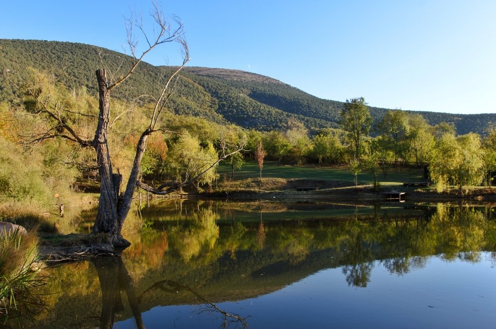 Photograph by Виктория Сметанина