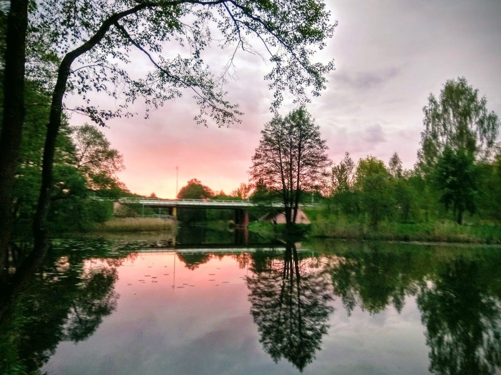 Photograph by Людмила Муравьева