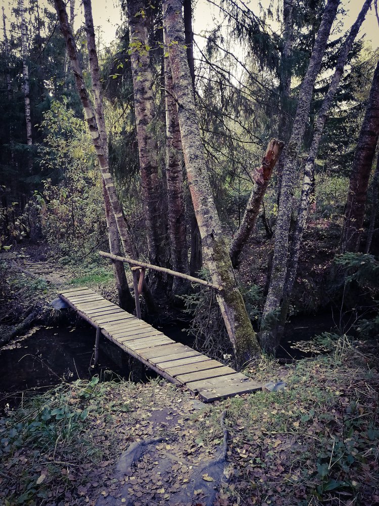 Photograph by Александр Викторович