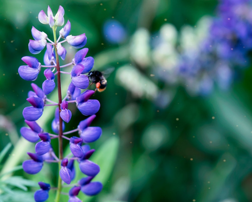 Photograph by Ирина Кленкова