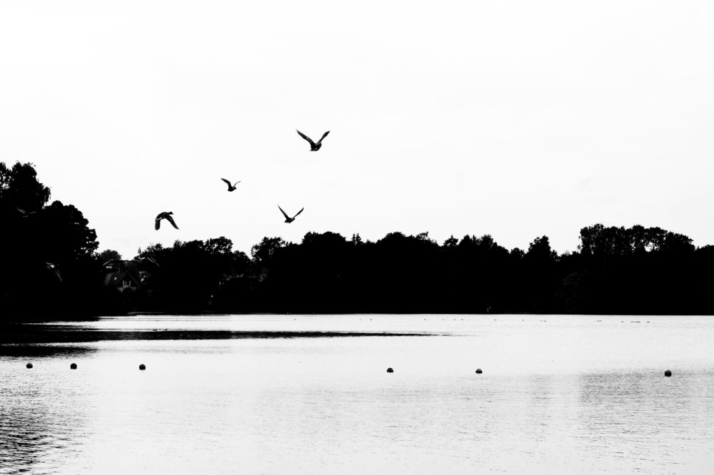 Photograph by Татьяна Юдина