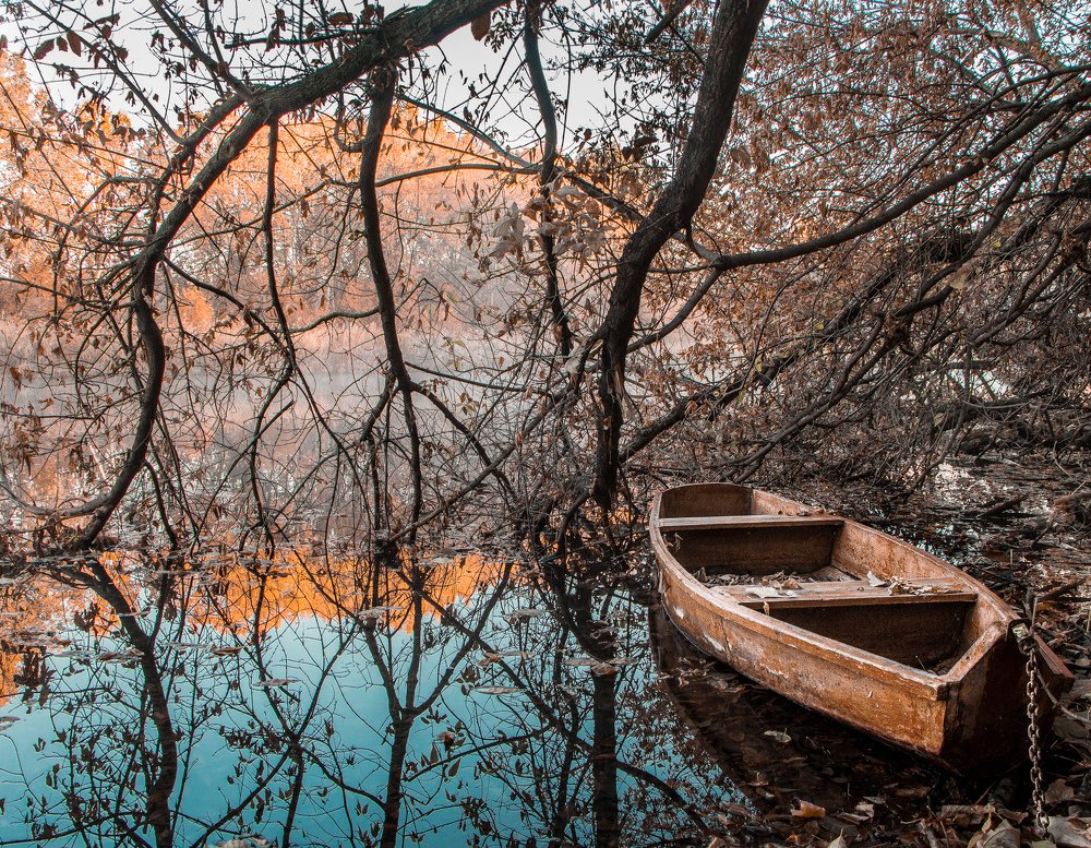 Photograph by Михаил Коган