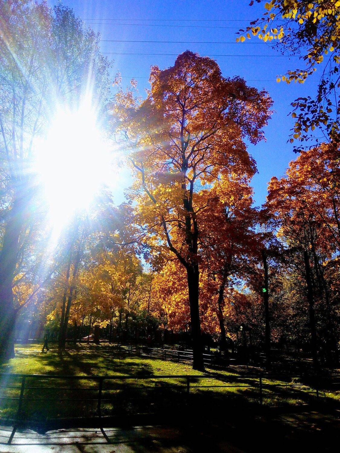 Photo #5151650