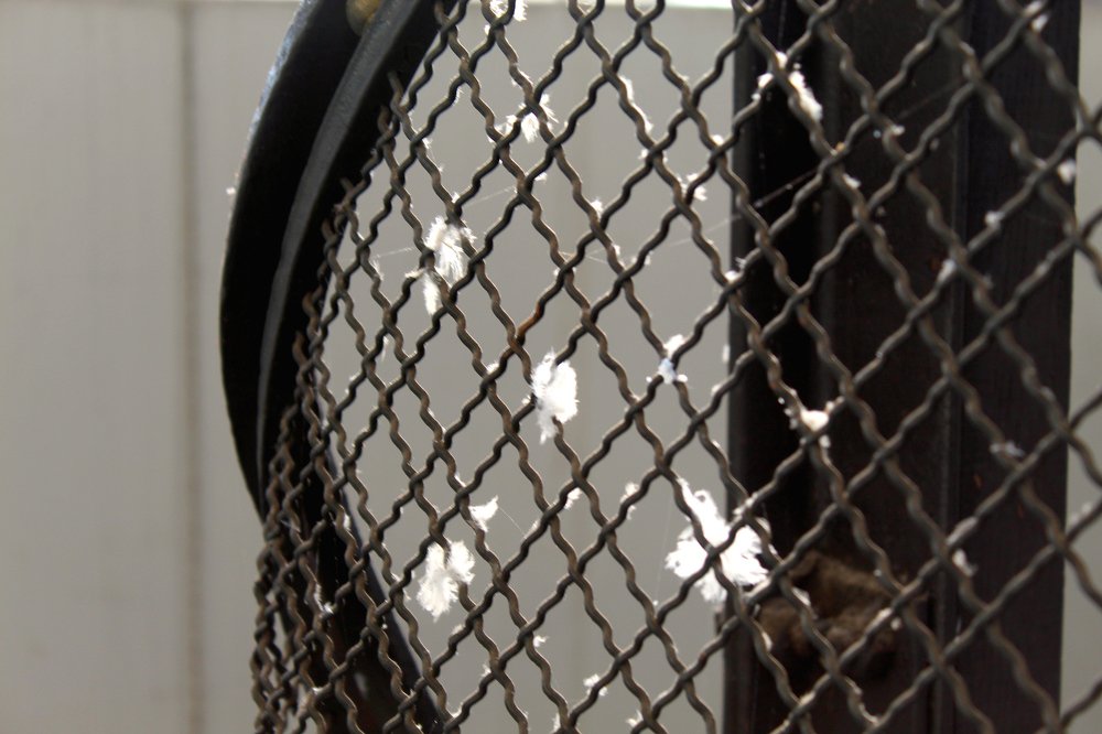 Photograph by Valeria Arcuri