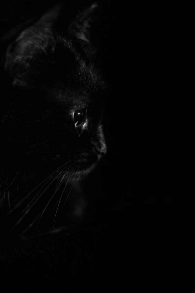 Photograph by Georgi Nanchev