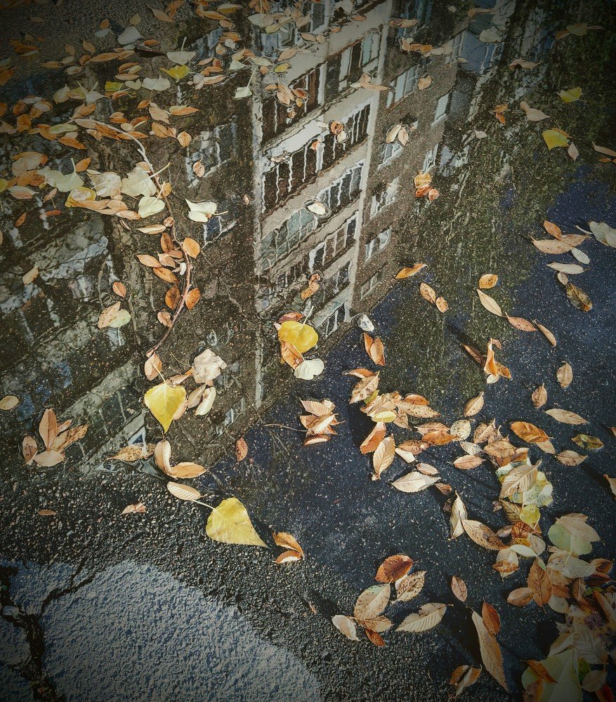 Жизнь в луже...