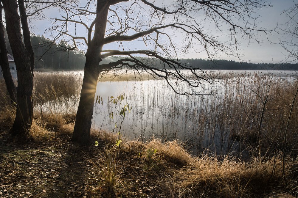 Photograph by Валерий Анисимов