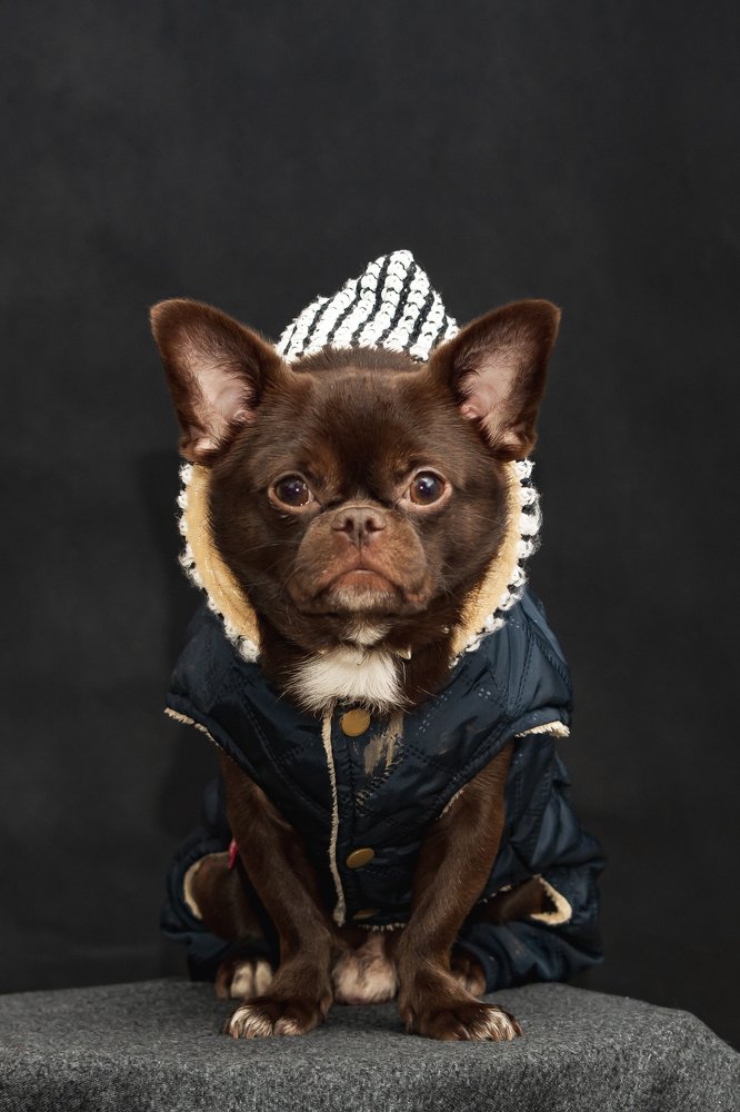 Photograph by Демьян Лопатов