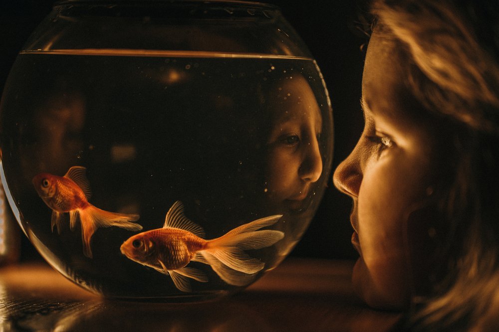 Photograph by Татьяна Звозникова