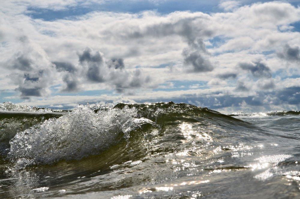 Photograph by Galina Baranovskaja