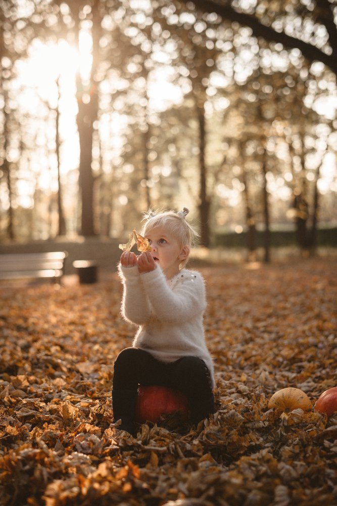 Фотография автора Сергей Миронов