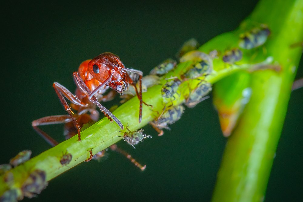 Фотография автора Владислав Жуков