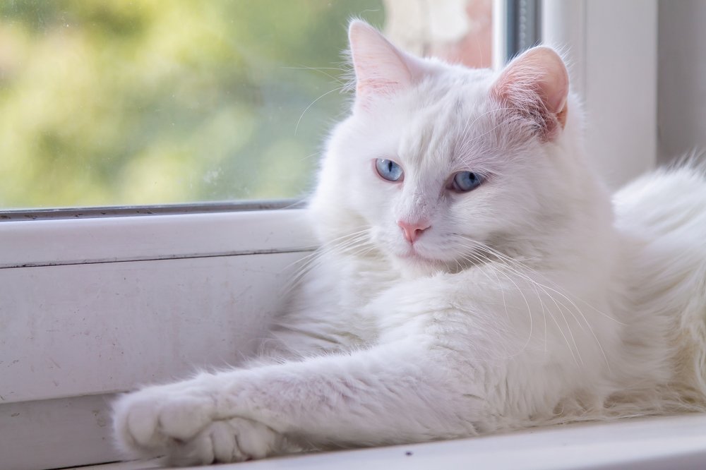 Photograph by Руслан Булгаков