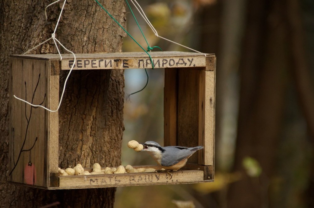 Photograph by Надежда Михайлина