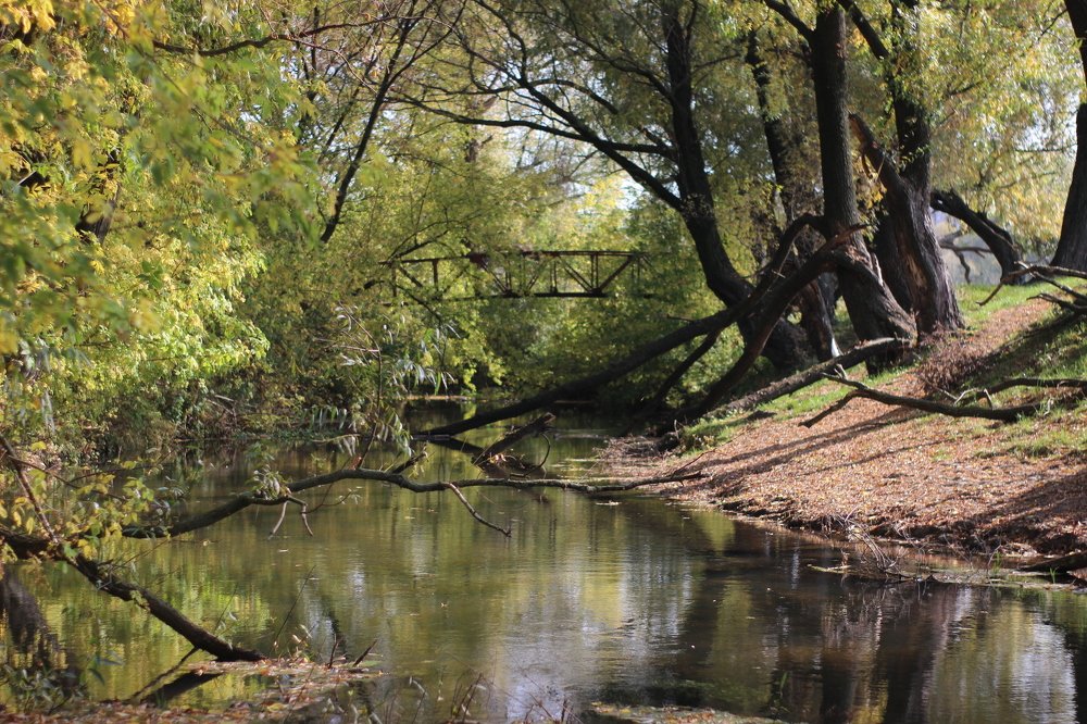 Photograph by Наталья Рыкова