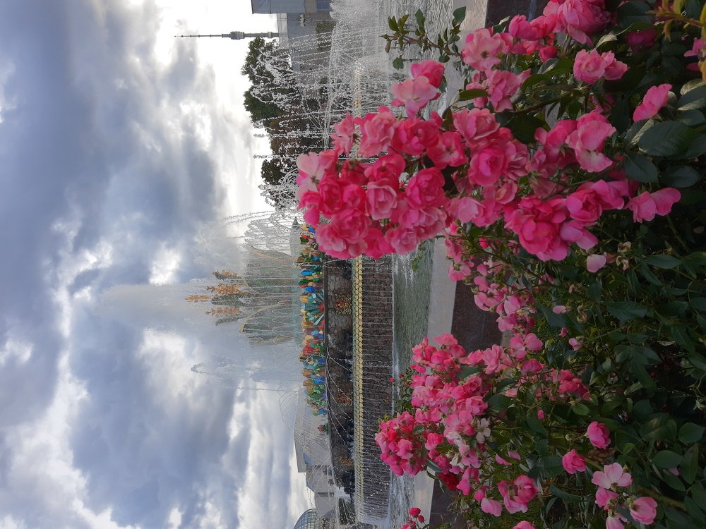 Photo #5151819