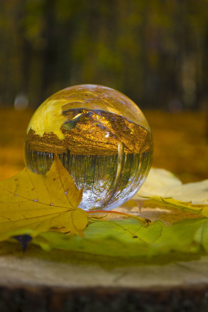 Photograph by Евгения Михайлова