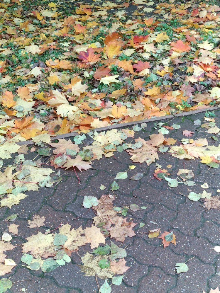 Photograph by Марина Мишина