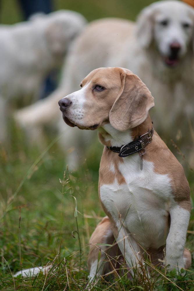 Photograph by Вячеслав Криволуцкий